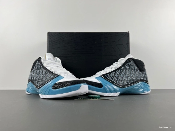   318376-041 UNC Jordan 23 0209